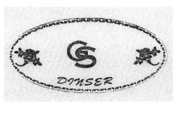 Imagen de GS DINSER