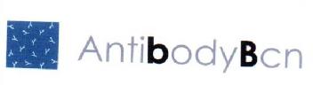 Imagen de ANTIBODYBCN