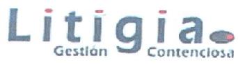 Imagen de LITIGIA GESTION CONTENCIOSA