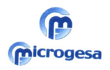 Imagen de MG MICROGESA