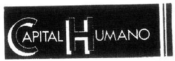 Imagen de CAPITAL HUMANO