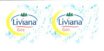Imagen de LIVIANA GAS