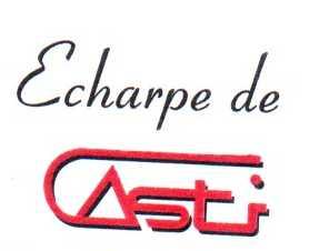 Imagen de ECHARPE DE CASTI