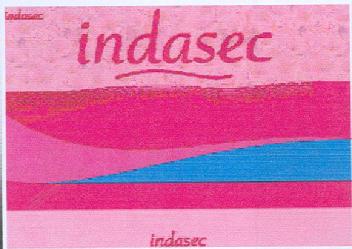 Imagen de INDASEC