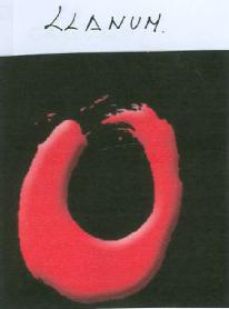 Imagen de LLANUM