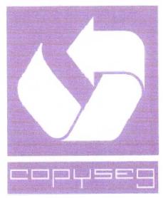 Imagen de COPYSEG