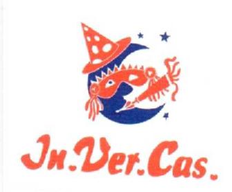 Imagen de IN.VER.CAS
