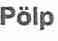 Imagen de POLP