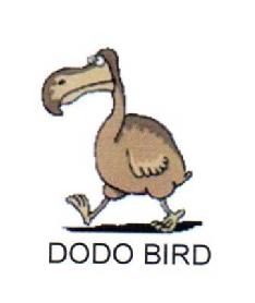 Imagen de DODO BIRD