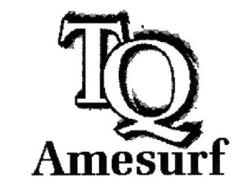 Imagen de TQ AMESURF