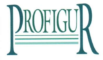 Imagen de PROFIGUR