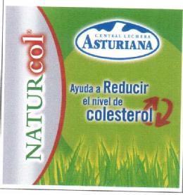 Imagen de NATURCOL CENTRAL LECHERA ASTURIANA AYUDA A REDUCIR EL NIVEL DE COLESTEROL
