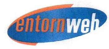 Imagen de ENTORNWEB