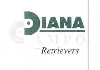 Imagen de DIANA CAMPO RETRIEVERS