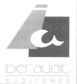 Imagen de IA IBERAUDIT AUDITORES