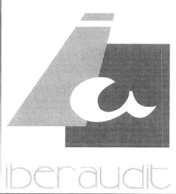 Imagen de IA IBERAUDIT