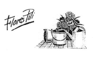 Imagen de FLORES PILI