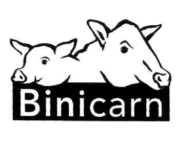 Imagen de BINICARN