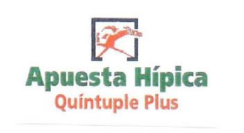 Imagen de APUESTA HIPICA QUINTUPLE PLUS