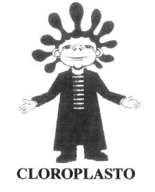 Imagen de CLOROPLASTO