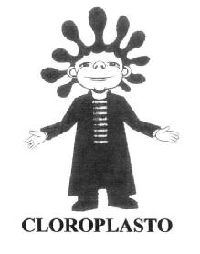 Imagen de CLOROPLASTO
