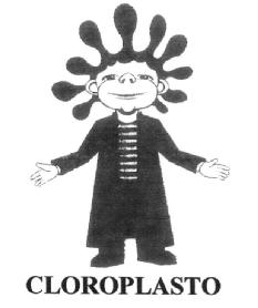 Imagen de CLOROPLASTO