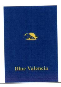 Imagen de BLUE VALENCIA