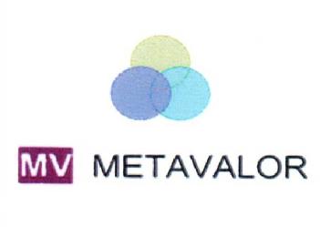 Imagen de MV METAVALOR