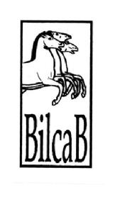 Imagen de BILCAB