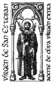 Imagen de VIRGEN DE SAN ESTEBAN ACEITE DE OLIVA VIRGEN EXTRA