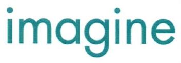 Imagen de IMAGINE