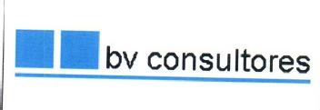 Imagen de BV CONSULTORES