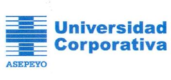 Imagen de UNIVERSIDAD CORPORATIVA ASEPEYO