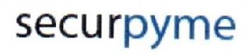 Imagen de SECURPYME