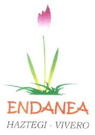 Imagen de ENDANEA HAZTEGI-VIVERO