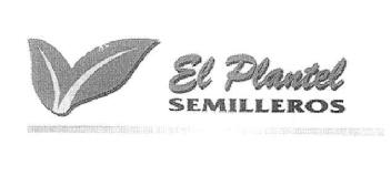 Imagen de EL PLANTEL SEMILLEROS