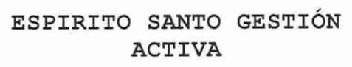 Imagen de ESPIRITO SANTO GESTION ACTIVA