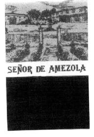 Imagen de SEÑOR DE AMEZOLA