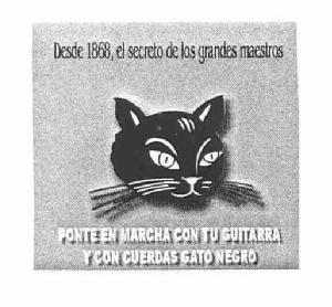 Imagen de DESDE 1868 EL SECRETO DE LOS GRANDES MAESTROS. PONTE EN MARCHA CON TU GUITARRA Y CON CUERDAS GATO NEGRO