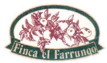 Imagen de FINCA EL FARRUNGO