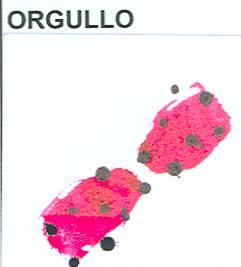 Imagen de ORGULLO