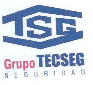 Imagen de TSG GRUPO TECSEG SEGURIDAD