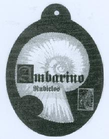 Imagen de AMBARINO RUBIELOS