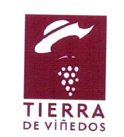 Imagen de TIERRA DE VIÑEDOS
