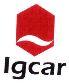 Imagen de IGCAR