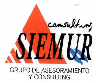 Imagen de CONSULTING SIEMUR GRUPO DE ASESORAMIENTO Y CONSULTING