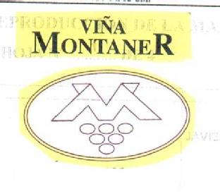 Imagen de VIÑA MONTANER