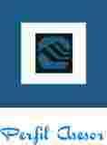 Imagen de PERFIL ASESOR