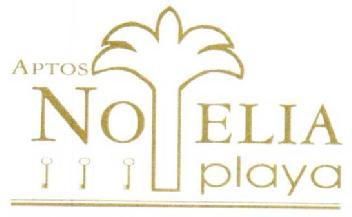Imagen de APTOS NOELIA PLAYA