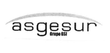 Imagen de ASGESUR GRUPO GSI